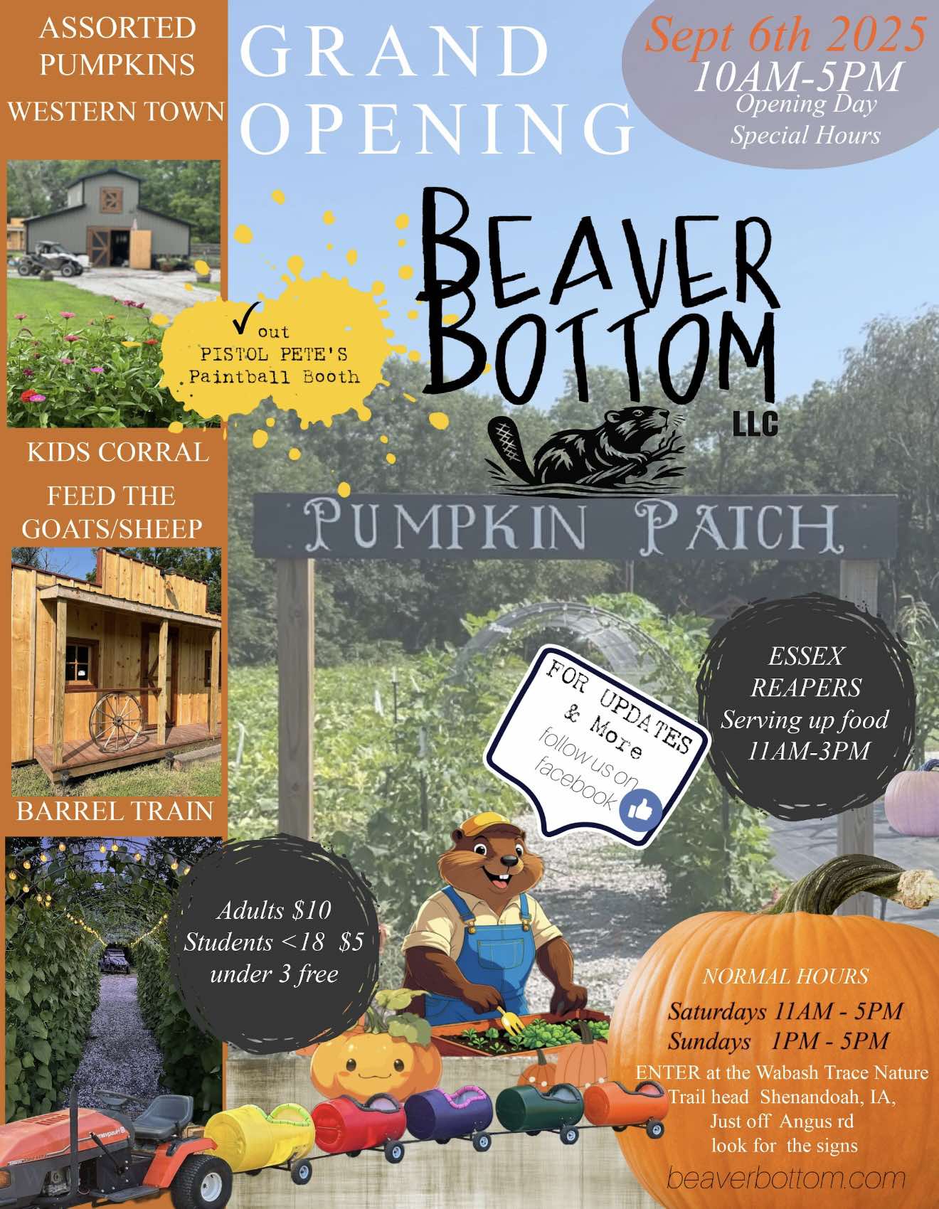 Beaver_Bottom.jpg