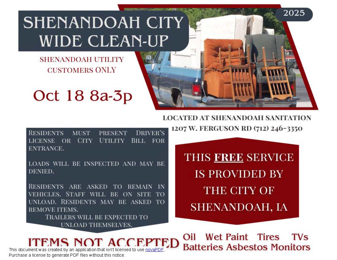 City_Wide_Cleanup.jpg